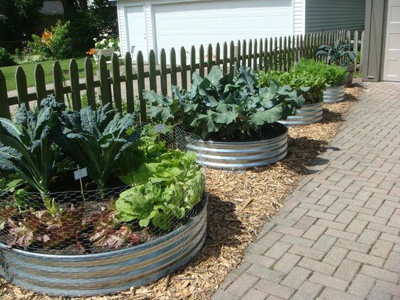 ideas usar tanque de acero galvanizado en tu jardin 8