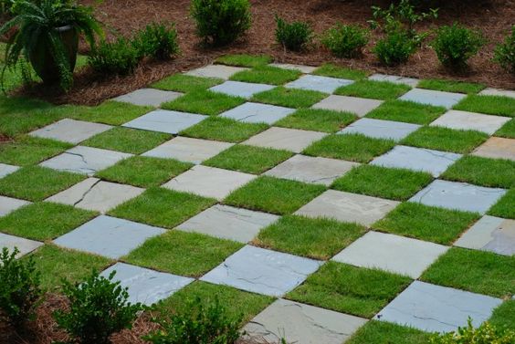 jardin en el patio de tablero de ajedrez 2