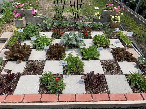 jardin en el patio de tablero de ajedrez 5