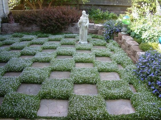 jardin en el patio de tablero de ajedrez 6