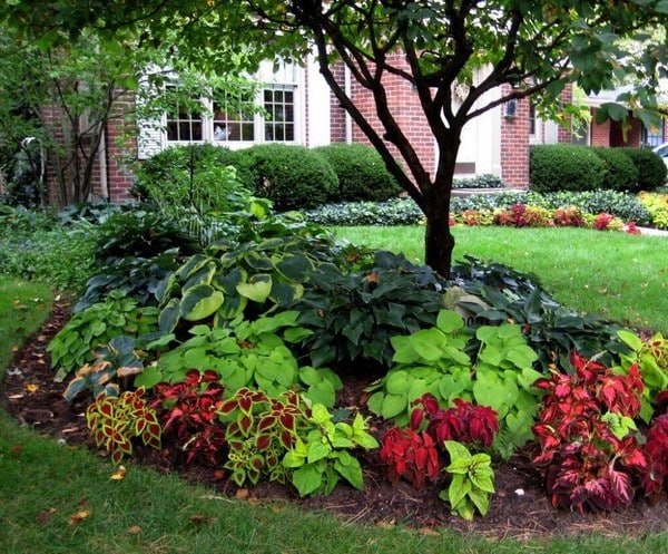 jardin en la entrada de tu casa 12