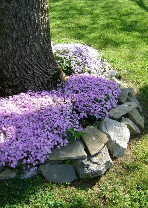 jardin en la entrada de tu casa 14