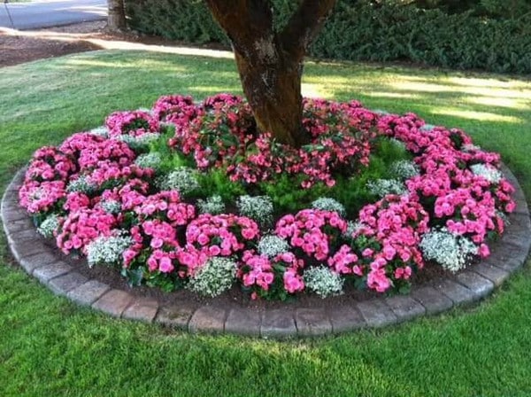 jardin en la entrada de tu casa 17