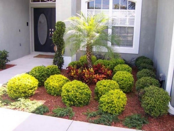 jardin en la entrada de tu casa 20