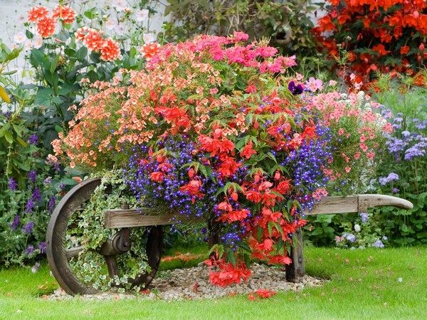 jardin en la entrada de tu casa 3