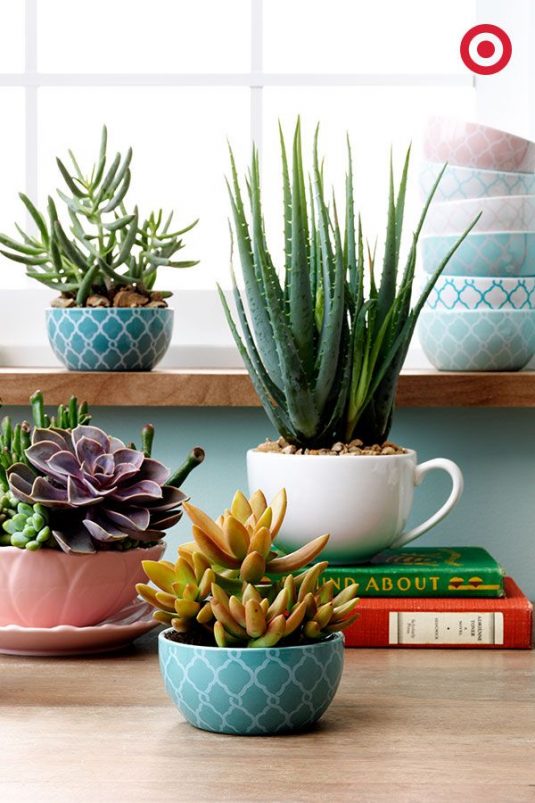 jardines taza te cafe 10