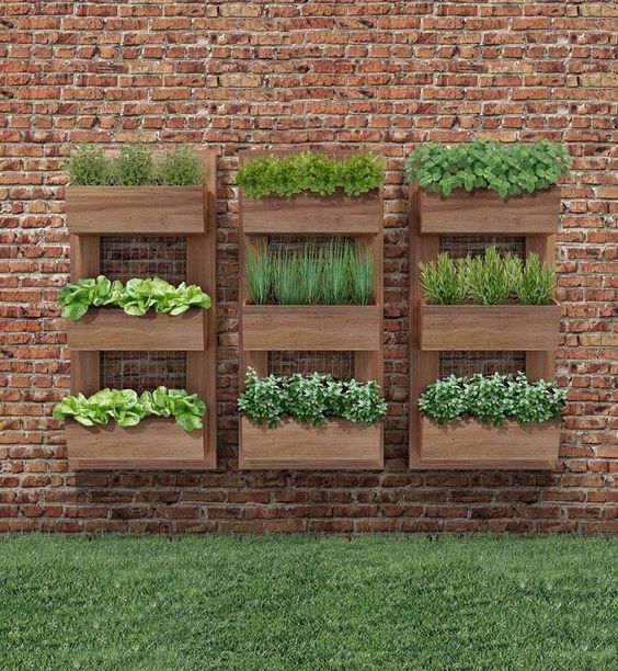 Cómo crear un jardín vertical en la terraza con ideas DIY - Foto 1