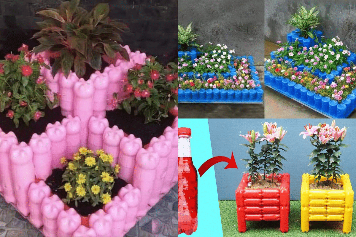 macizos de flores hechos botellas de colores