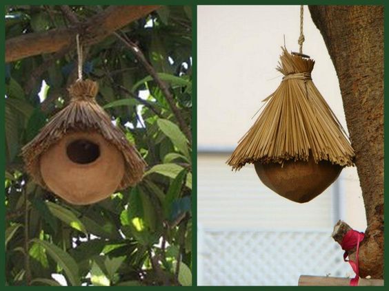 maneras reutilizar las cascaras de coco 1