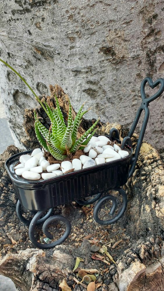 manualidades con latas de atun para el jardin 2