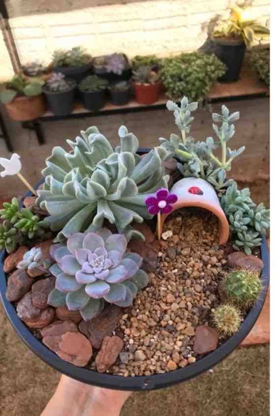 mini jardines originales