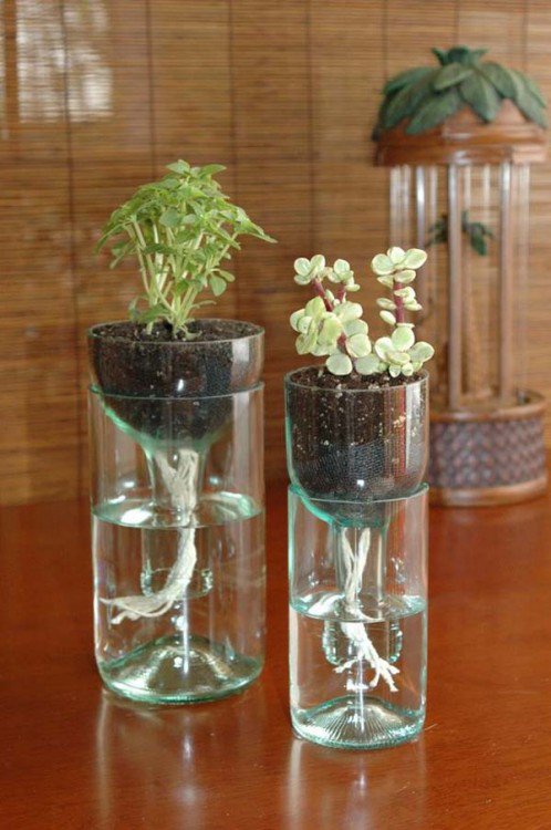 reciclar botellas de plastico 17 1