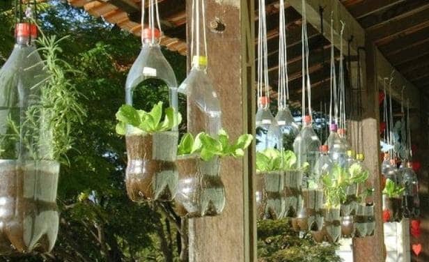 reciclar botellas plasticas 11
