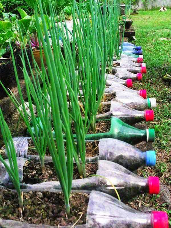 reciclar botellas plasticas 13