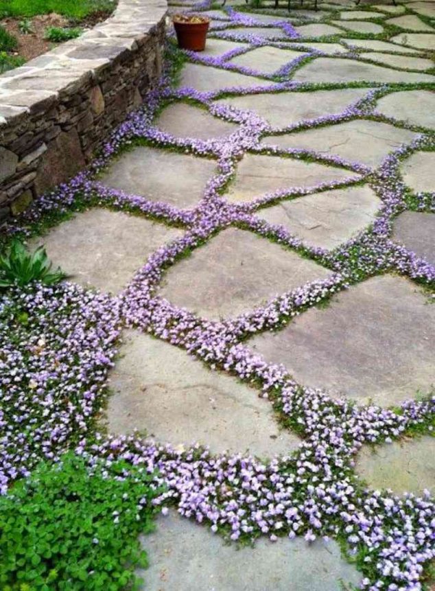 senderos y caminos de piedras en el jardin 13