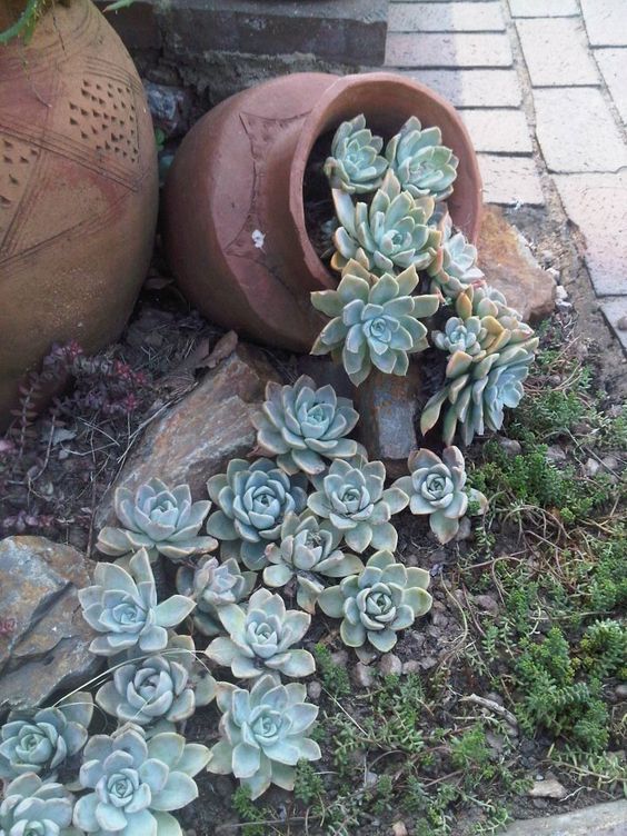 tinajas grandes en la decoracion de tu jardin 3