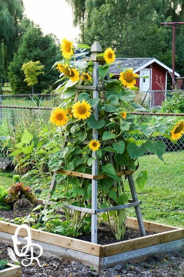 torre de macetas con flores 7