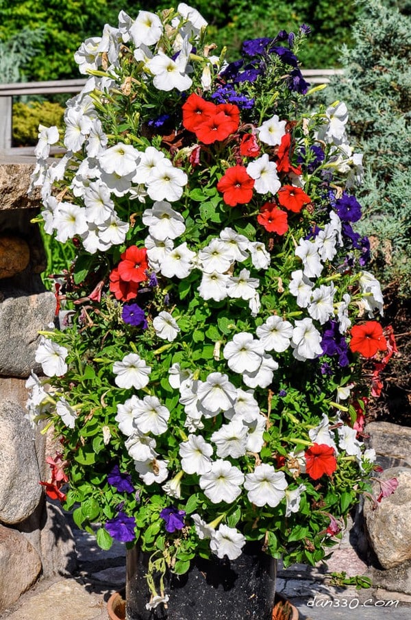 torre de macetas con flores 8