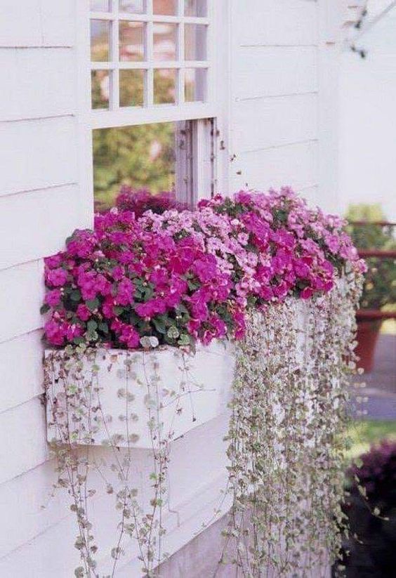 ventanas decoradas con flores 1