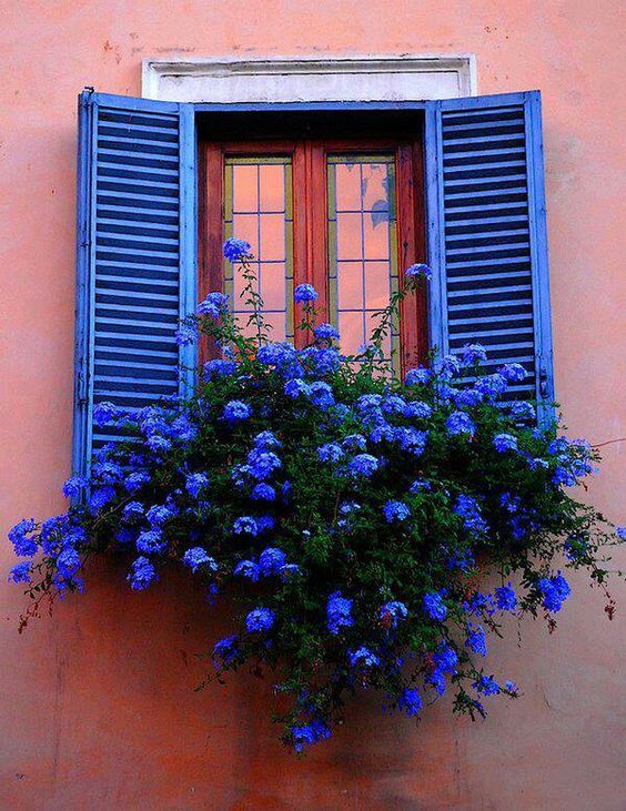 ventanas decoradas con flores 2