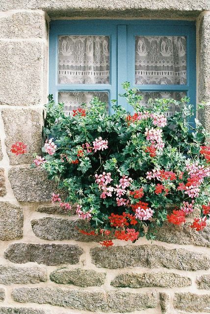 ventanas decoradas con flores 4