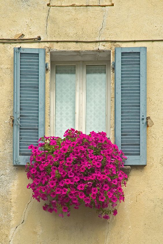 ventanas decoradas con flores 8