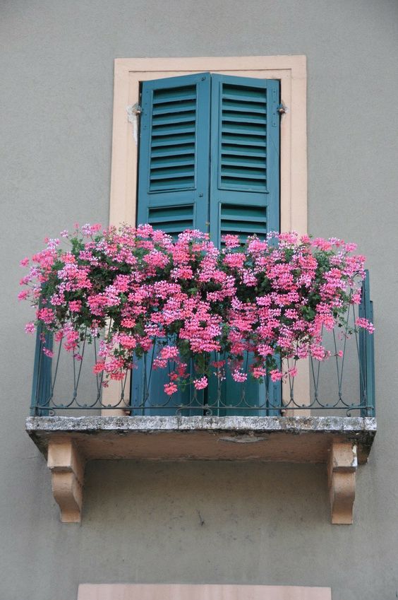 ventanas decoradas con flores 9